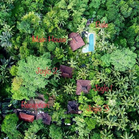 Villa Mahadevi Jungle Retreat Joglo 1 Ubud Kültér fotó