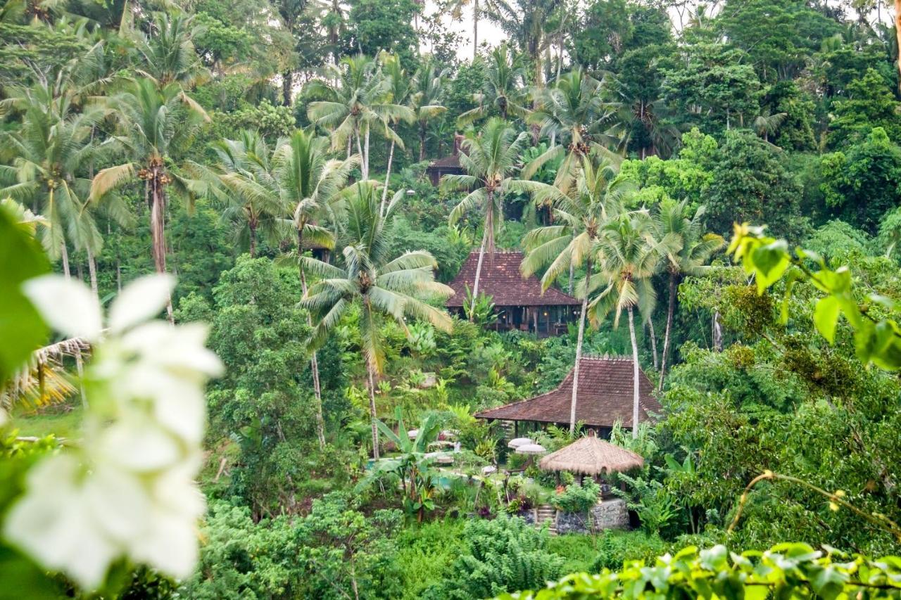 Villa Mahadevi Jungle Retreat Joglo 1 Ubud Kültér fotó