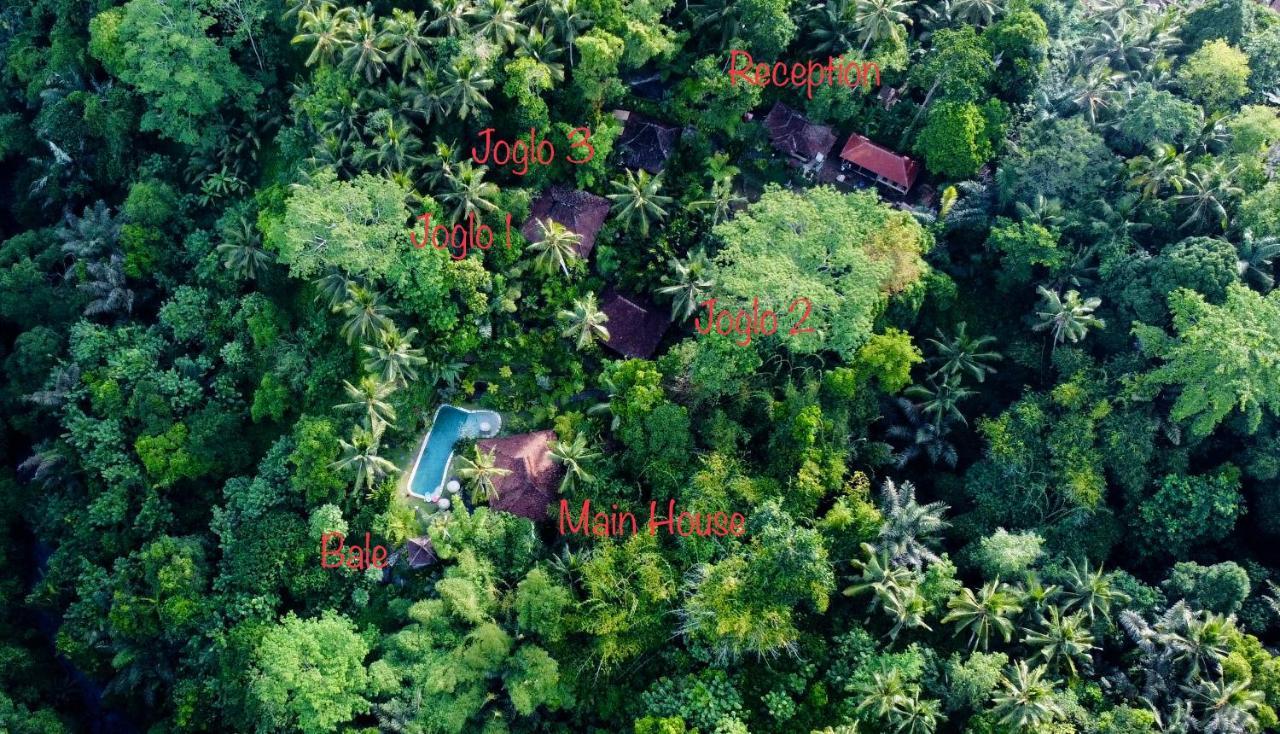 Villa Mahadevi Jungle Retreat Joglo 1 Ubud Kültér fotó