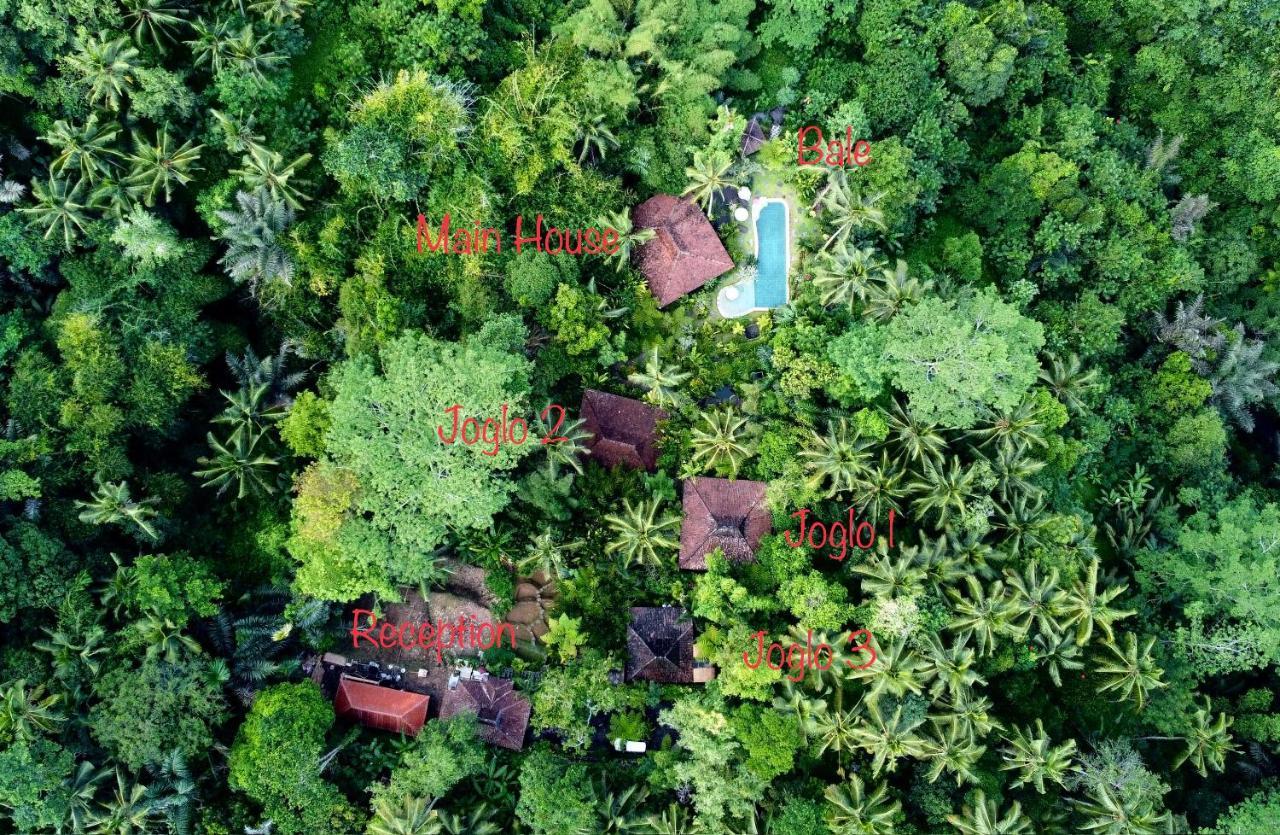 Villa Mahadevi Jungle Retreat Joglo 1 Ubud Kültér fotó